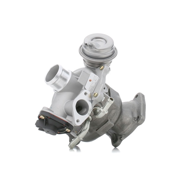 2082254 OE RIDEX Turbocharger 2234C0317