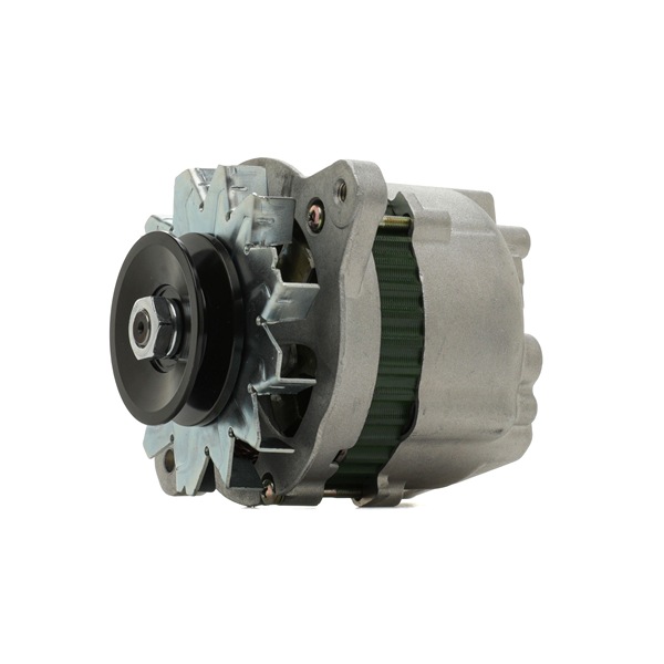 RIDEX 4G1019 Elektrisitet Datsun 100A