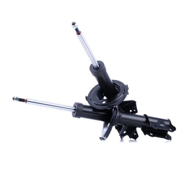 854S2558 RIDEX 546600X100 Stoßdämpfer