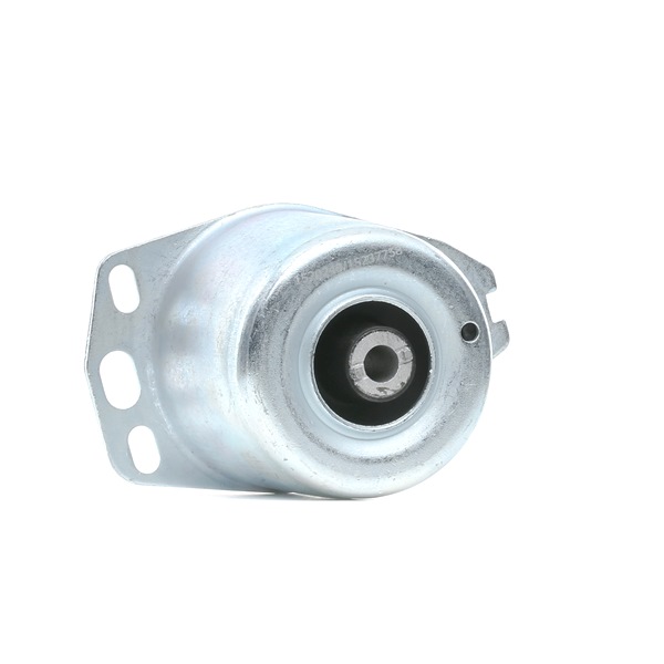 247E0420 Supporti motore RIDEX LANCIA Y prezzo