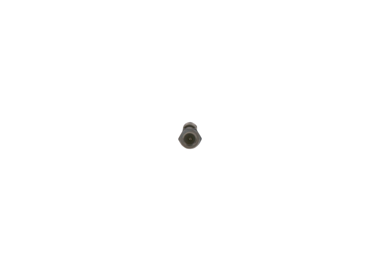 BOSCH 1 987 481 B17 Remslang FIAT Tipo Hatchback (356) 1.0 (357HXN1A) Benzine 101 Pk 2021 kosten