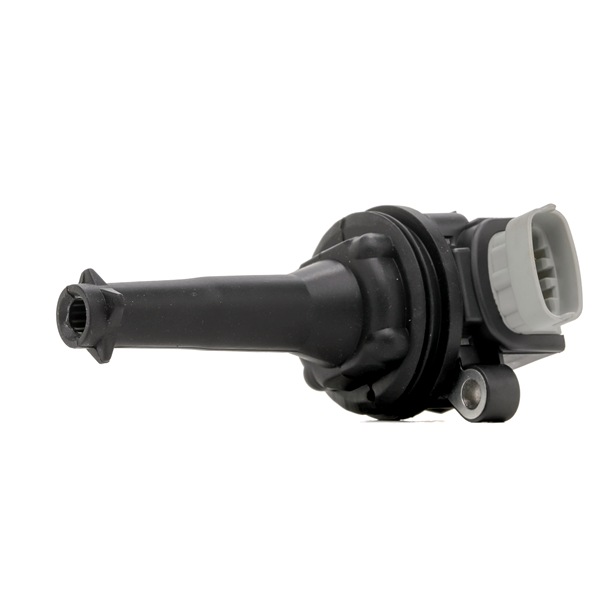 1371601 OE MAGNETI MARELLI Ignition coil 060717209012