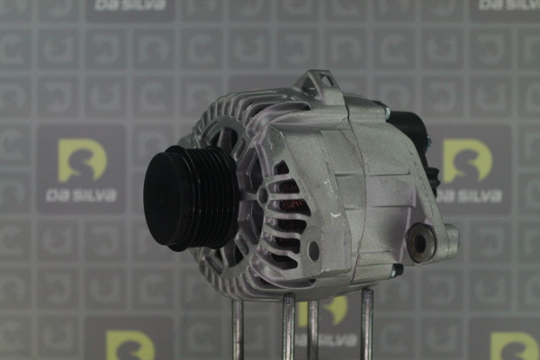 DA SILVA Laturi 030594