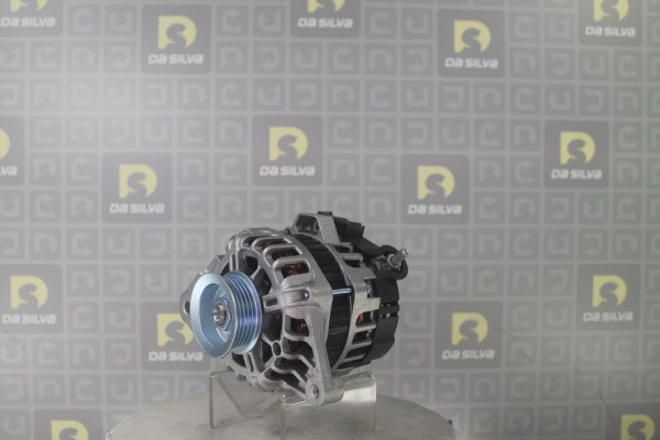 DA SILVA Laturi 030612