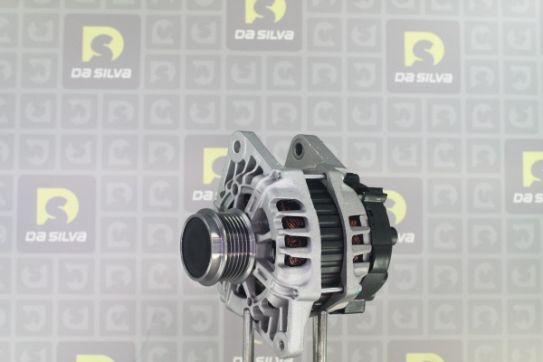 DA SILVA Alternator 030613
