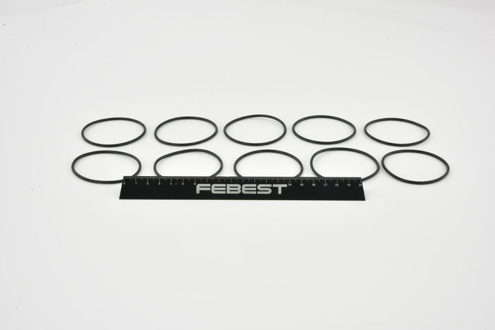 FEBEST RINGOL-053-PCS10 Вакуумный насос тормозной системы RENAULT MEGANE III купе (DZ0/1_) 2.0 TCe 220 бензин 220 л.с. 2015