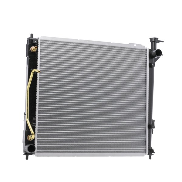 RIDEX 253102B970 Kylare