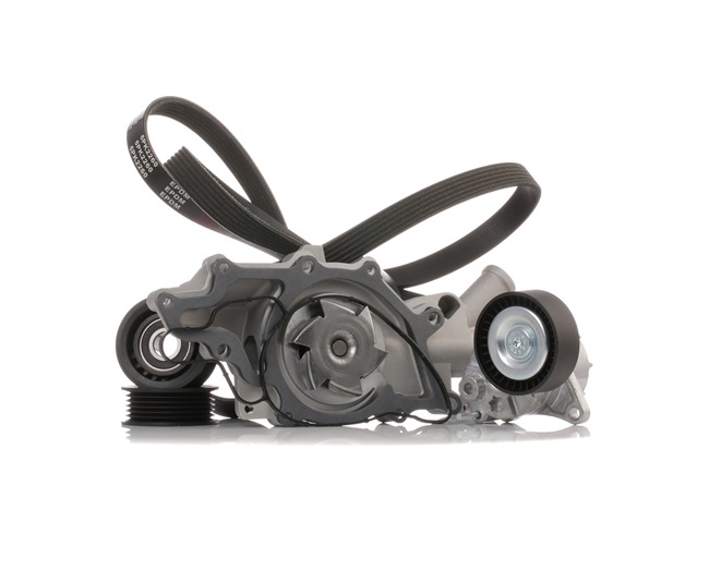RIDEX 4172P0011 Jogo de correia trapezoidal estriada MERCEDES-BENZ Classe C T-modell (S203) C 220 CDI (203.206, 203.208) Diesel 143 cv 2001 preço