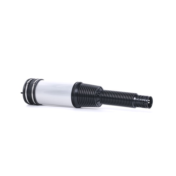 2203205013 OE RIDEX Air Spring, suspension 4119A0039