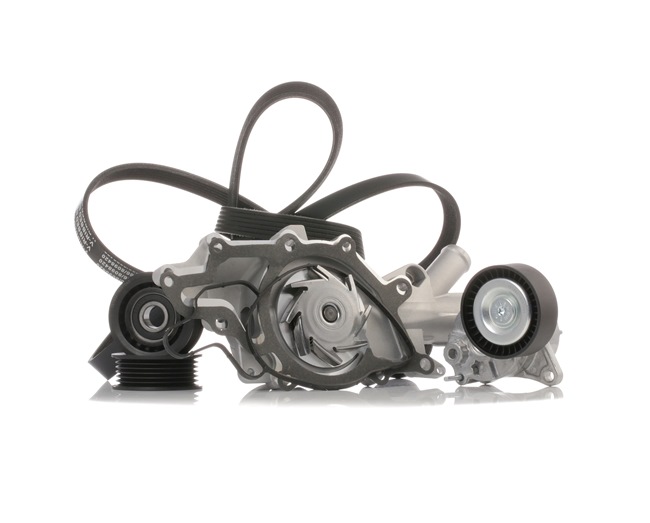 RIDEX 4172P0013 Poly v riemen kit MERCEDES-BENZ Sprinter 3.5-T Flatbed Vrachtwagen/Chassis (W906) 311 CDI 4x4 (906.131, 906.133, 906.135, 906.231, 906.233... Diesel 109 Pk 2009 kosten
