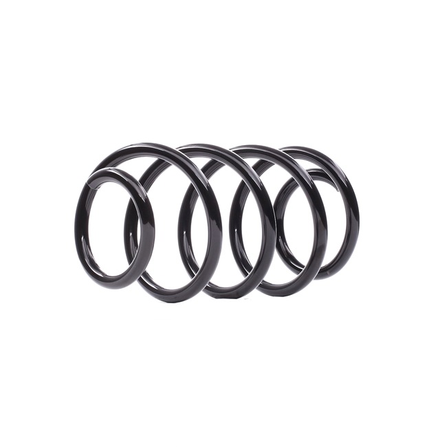 R10769 Molle EIBACH VOLKSWAGEN PASSAT prezzo