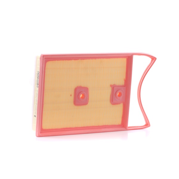 6C0129620D OE KAMOKA Filtre à air F250801