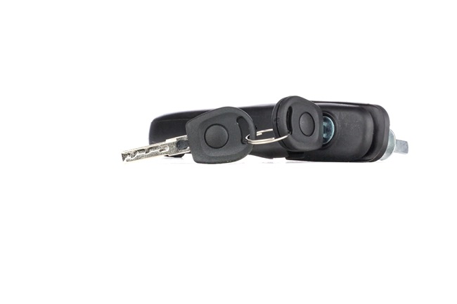 RIDEX 1373D0202 Pomo de puerta VOLKSWAGEN Sharan I (7M8, 7M9, 7M6) 2.0 LPG Gasolina/Gas (LPG) 115 cv 2009 precio