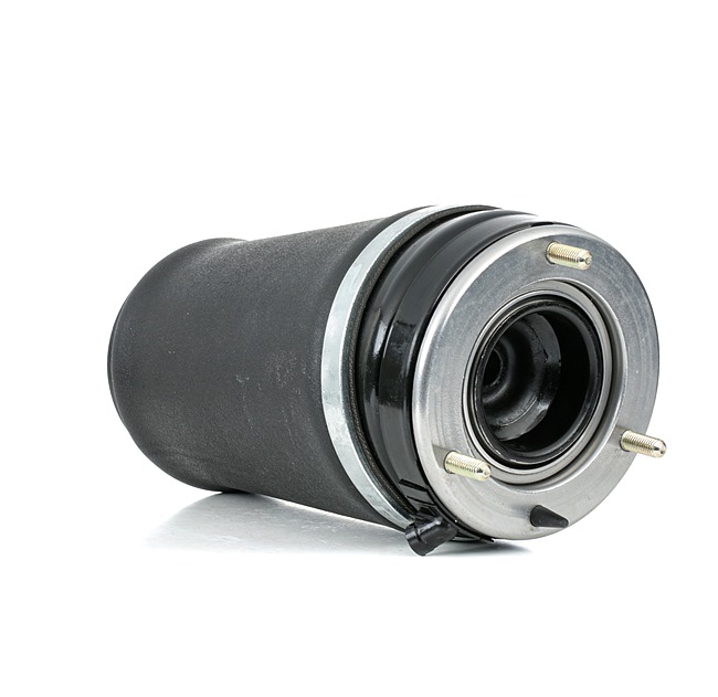 LR051700 OE RIDEX Air Spring, suspension 4119A0040