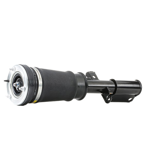 RIDEX 4118A0040 Luftfederung BMW E53 4.4i Benzin 286 PS 2002