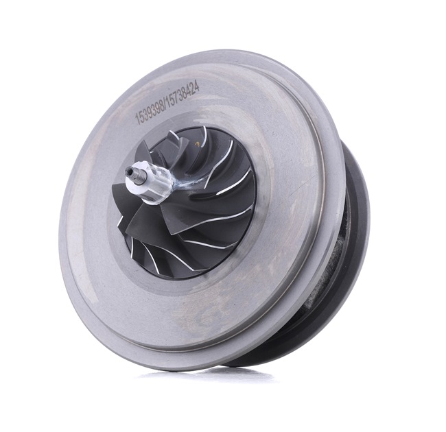 4973C0039 RIDEX Turbo FORD FOCUS