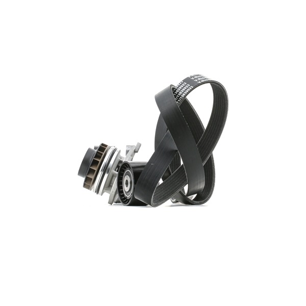 RIDEX 4172P0018 Kit complet de courroies d'accessoire Scenic 2 2.0 dCi Diesel 150 CV 2005 prix