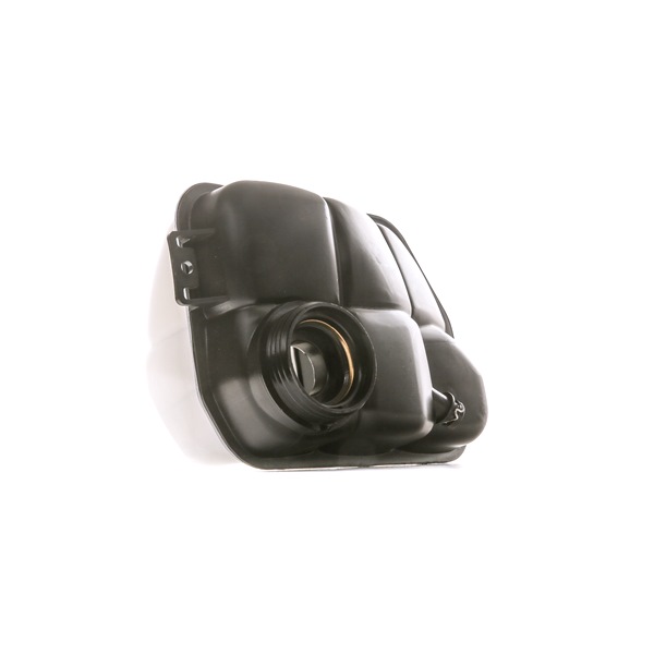 RIDEX 397E0141 Išsiplėtimo bakelis, variklio aušinimo skystis MERCEDES-BENZ E Klasė T-modell (S211) 3.5 4-matic benzinas 279 AG 2006
