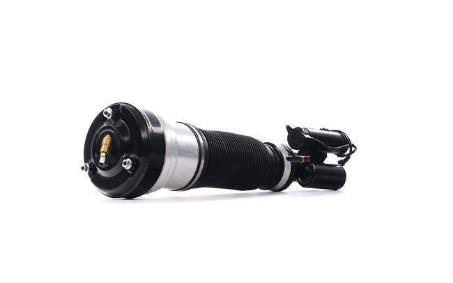 A2203202138 OE RIDEX Luftfederbein 4118A0043