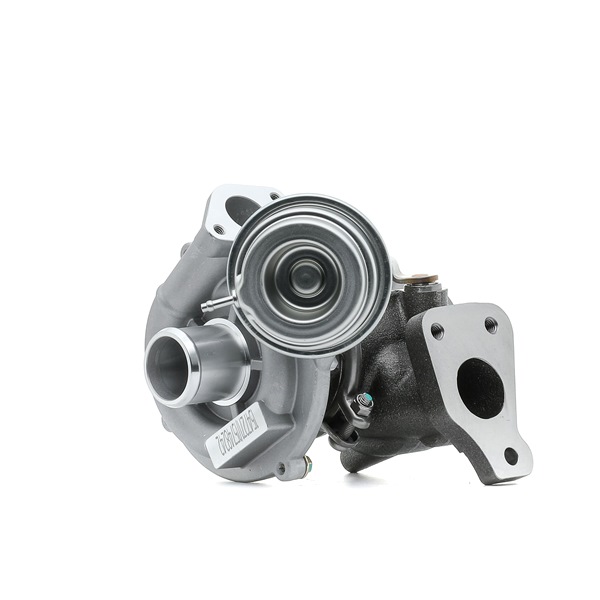 RIDEX 2234C0376 Turbo para motor Fiat Panda 169 1.3 D Multijet (169AXG1A, 169AXD1A) Gasóleo 75 cv 2011 precio