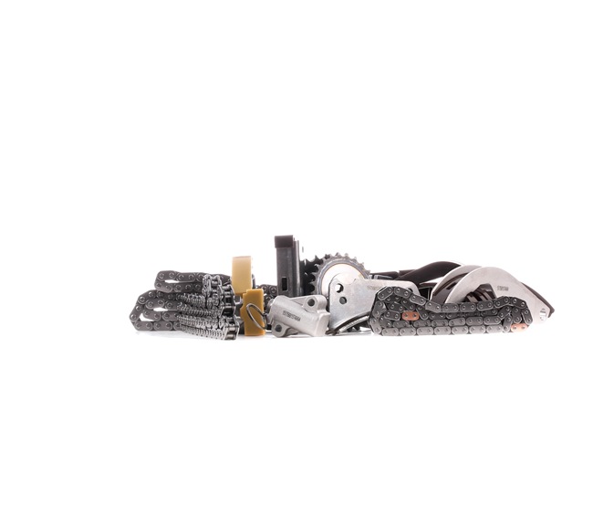RIDEX Chaîne de distribution ACCENT 1389T0189