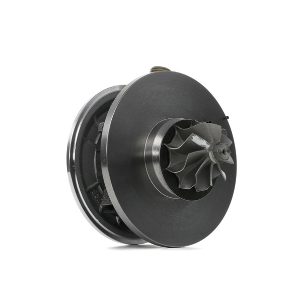 Trupna skupina, polnilnik RIDEX 4973C0043 primeren za VW, SEAT poceni