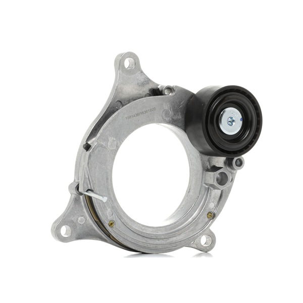 RIDEX 249M0006 Ašies montavimas A4 B8 2.0 TDI quattro dyzelinas 150 AG 2013