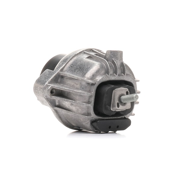 RIDEX 247E0443 Silent bloc moteur BMW 3 Touring (E91) 330d 3.0 Diesel 231 CV 2007 prix