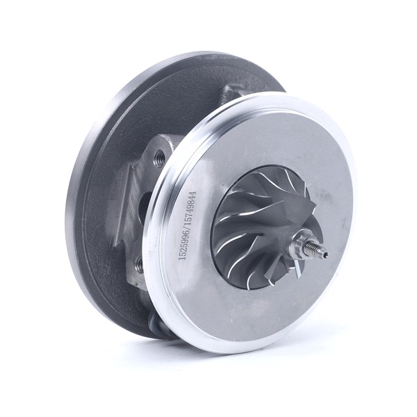Conjunto piezas turbocompresor 282012A110 RIDEX 4973C0045