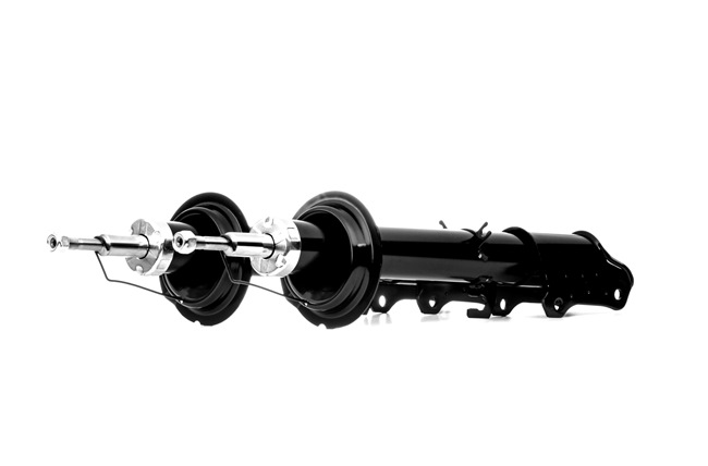 854S2595 RIDEX 46402637 Stoßdämpfer