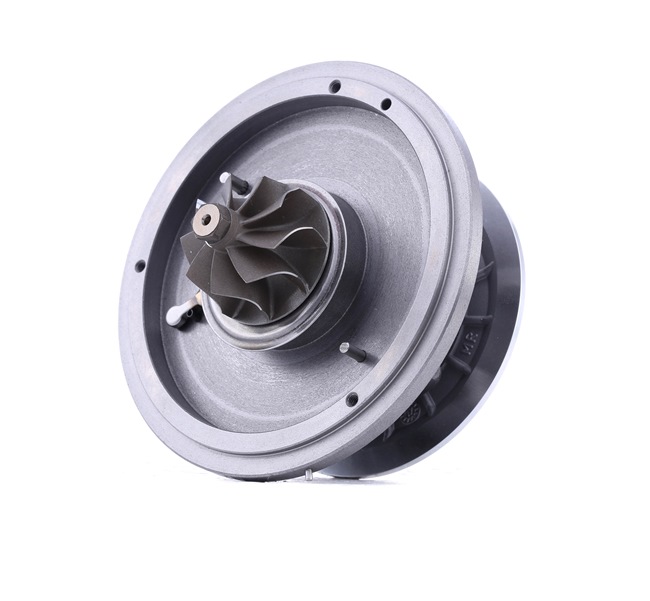 2823127480 OE RIDEX Trupna skupina, polnilnik 4973C0048