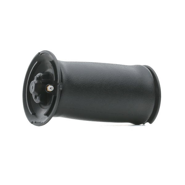 originale BMW X5 RIDEX Luftdempere 4119A0044