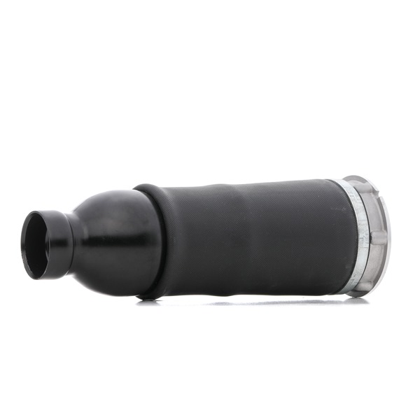 4Z7616051D OE RIDEX Ressort pneumatique 4119A0045