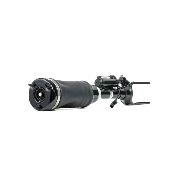 RIDEX A2513203113 Pneumatische veerpoot