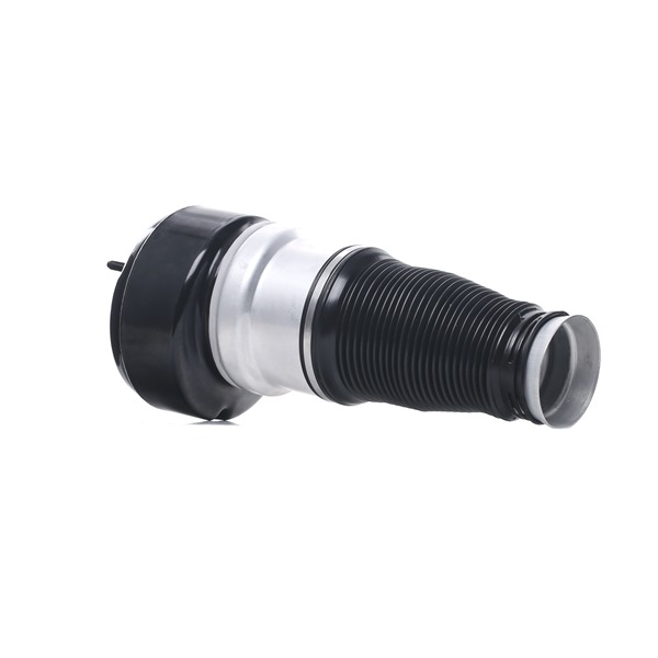 RIDEX A2213209313 Ilmajousi 4119A0047