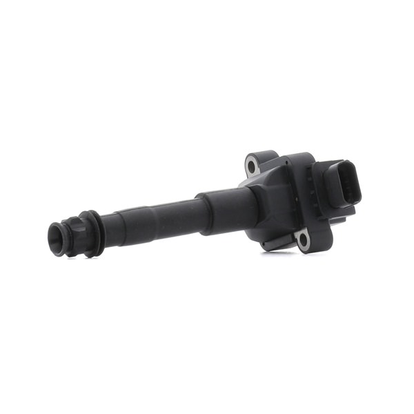 99660210400 OE RIDEX Bobine d'allumage 689C0383