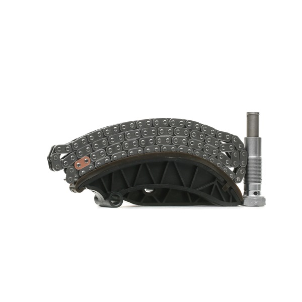 6510500016 OE RIDEX Timing chain kit 1389T0245