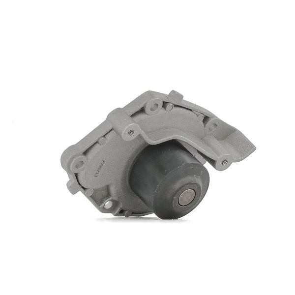 STARK SKWP-0520375 Kühlwasserpumpe RENAULT MEGANE II Stufenheck (LM0/1_) 1.9 dCi Diesel 90 PS 2003