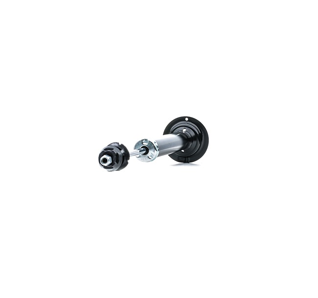 RIDEX 854S2636 Iskunvaimennin LEXUS IS II (GSE2_, ALE2_, USE2_) 200d (ALE20_) Diesel 150 hv 2012