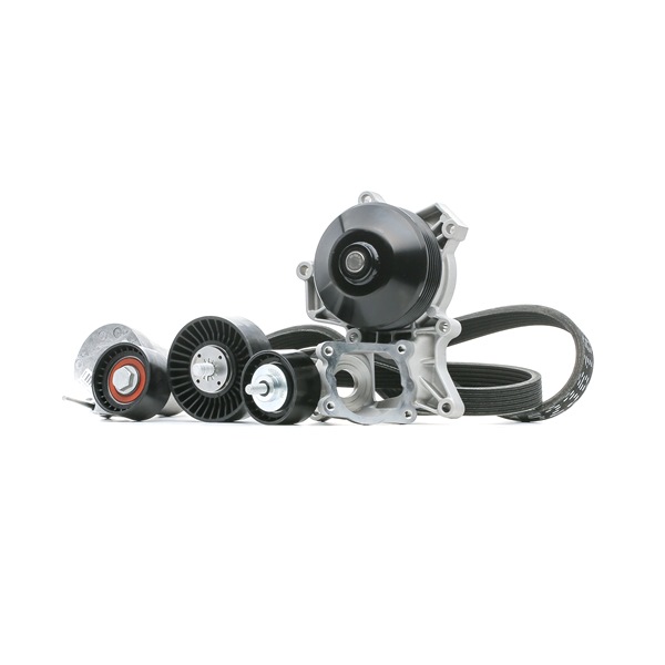 RIDEX 4172P0040 Kit cinghie poly-v BMW Serie 3 E91 320d 2.0 Diesel 197 CV 2007 prezzo
