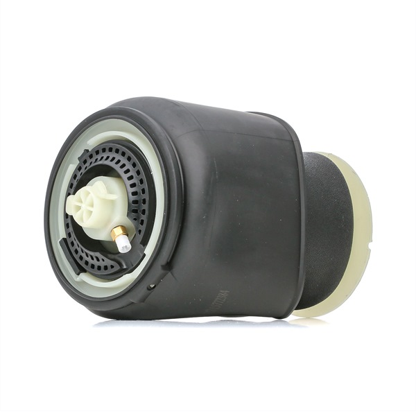RIDEX 4119A0050 Air suspension bag BMW 5 Touring (F11) 525 d Diesel 218 hp 2013 price