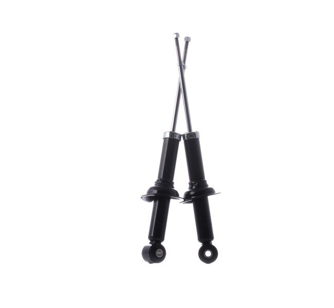 RIDEX 4162A036 Iskunvaimennin 854S17838