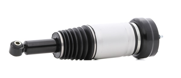 C2C41341 OE RIDEX Amortisseur pneumatique 4118A0064