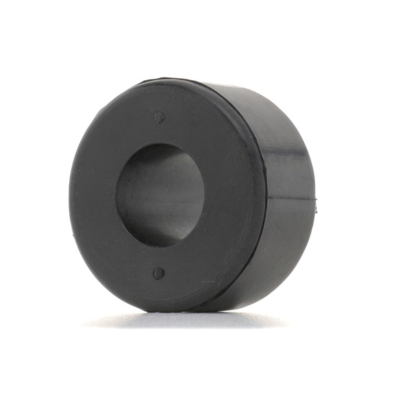 251T0669 RIDEX Silentblock de brazo de suspensión NISSAN TERRANO