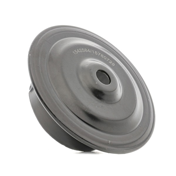 Patin de ressort RIDEX 1300S0023