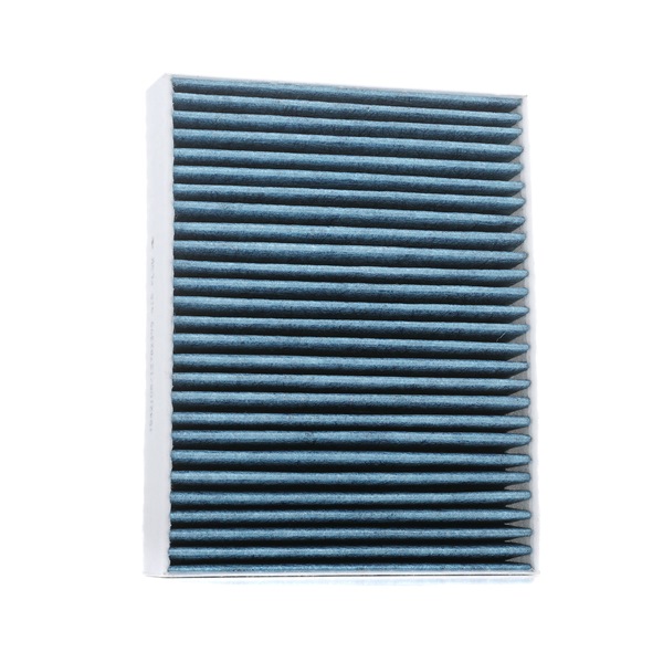BMW Filtro antipolen RIDEX 424I0488