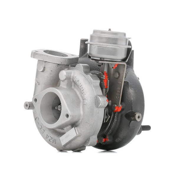 RIDEX REMAN 2234C0189R Turbolader NISSAN Pathfinder 3 (R51) 2.5 dCi 4WD Diesel 174 HK 2009 pris