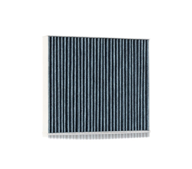 Innenraumfilter RIDEX 424I0494 passend für OPEL, CHEVROLET, SAAB, CADILLAC, VAUXHALL zum günstigen Preis