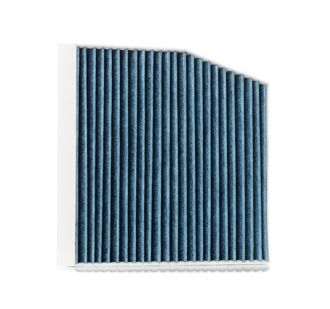 2468300118 OE STARK Filter, zrak notranjega prostora SKIF-0170503
