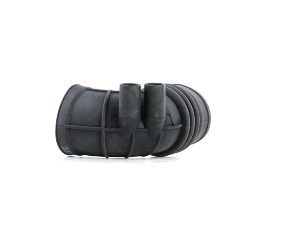 Tubo flexible de aspiración, filtro de aire 13541427779 RIDEX 1591I0027